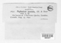 Image Associated With the Occurrence